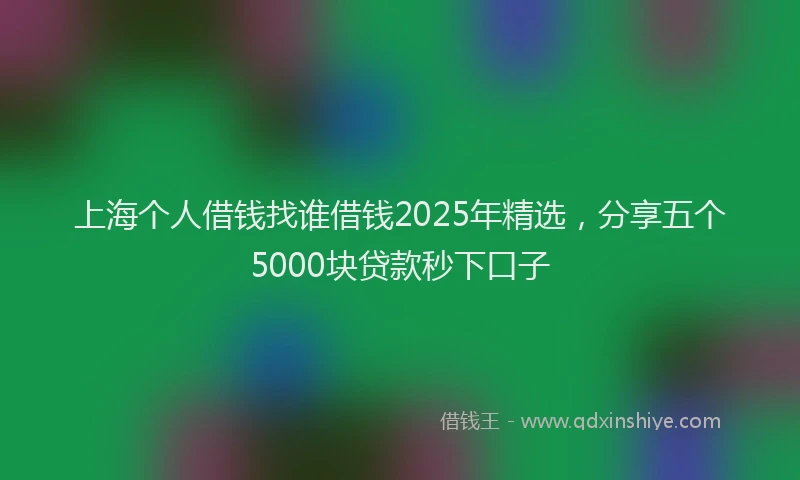 上海个人借钱找谁借钱2025年精选，分享五个5000块贷款秒下口子