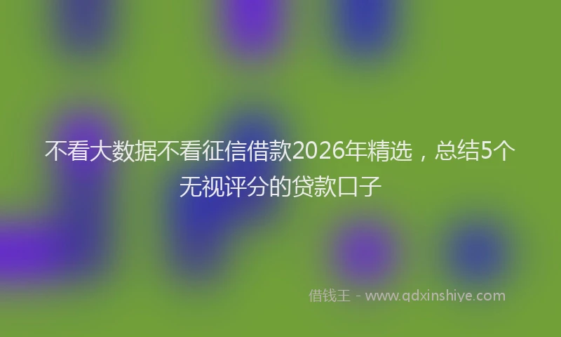 不看大数据不看征信借款2026年精选，总结5个无视评分的贷款口子