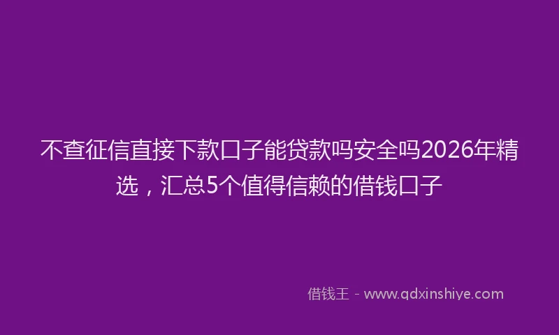 不查征信直接下款口子能贷款吗安全吗2026年精选，汇总5个值得信赖的借钱口子
