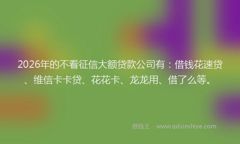 2026年的不看征信大额贷款公司有：借钱花速贷、维信卡卡贷、花花卡、龙龙用、借了么等。