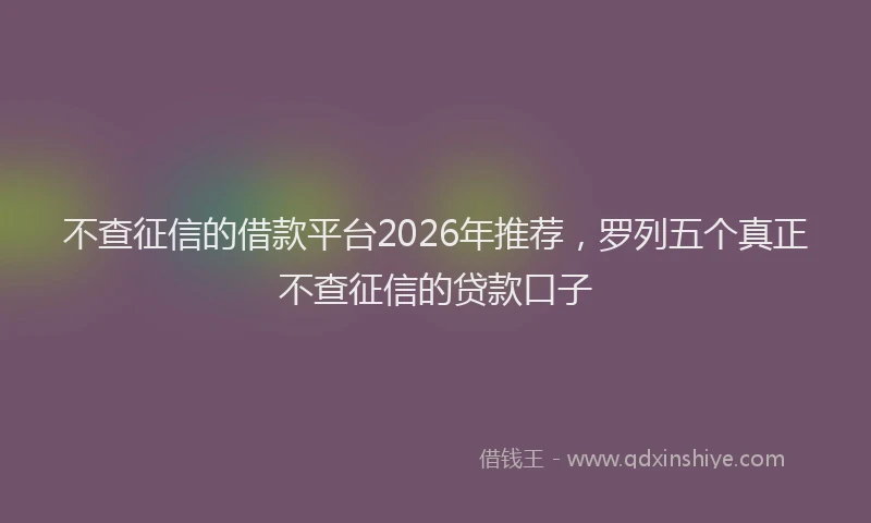 不查征信的借款平台2026年推荐，罗列五个真正不查征信的贷款口子