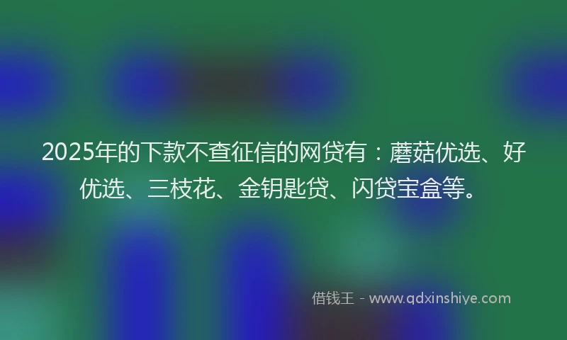 2025年的下款不查征信的网贷有：蘑菇优选、好优选、三枝花、金钥匙贷、闪贷宝盒等。