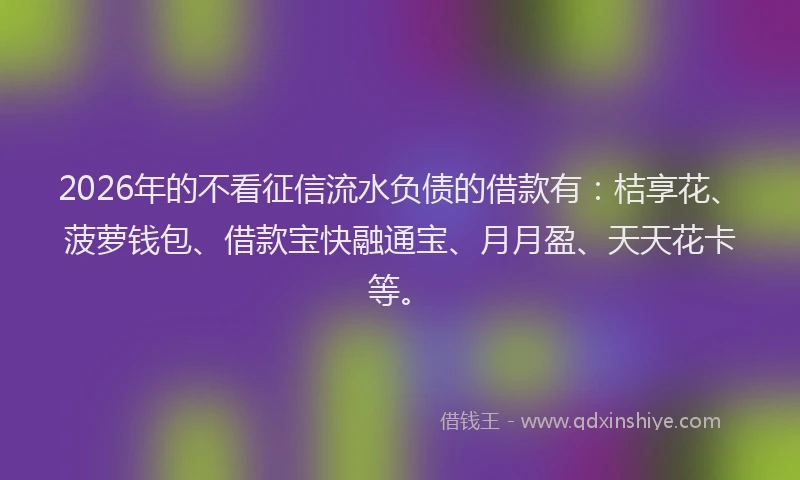2026年的不看征信流水负债的借款有:桔享花、菠萝钱包、借款宝快融通宝、月月盈、天天花卡等。