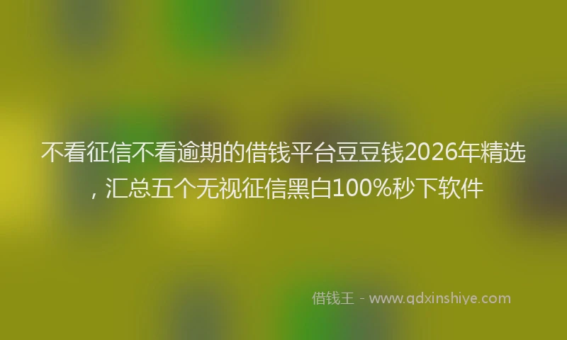 不看征信不看逾期的借钱平台豆豆钱2026年精选，汇总五个无视征信黑白100%秒下软件