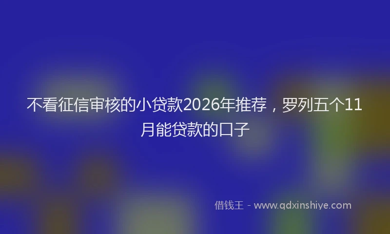 不看征信审核的小贷款2026年推荐，罗列五个11月能贷款的口子