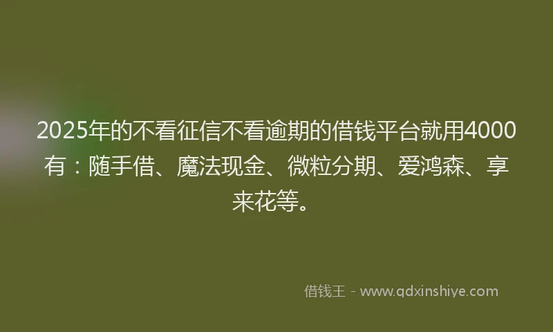 2025年的不看征信不看逾期的借钱平台就用4000有:随手借、魔法现金、微粒分期、爱鸿森、享来花等。