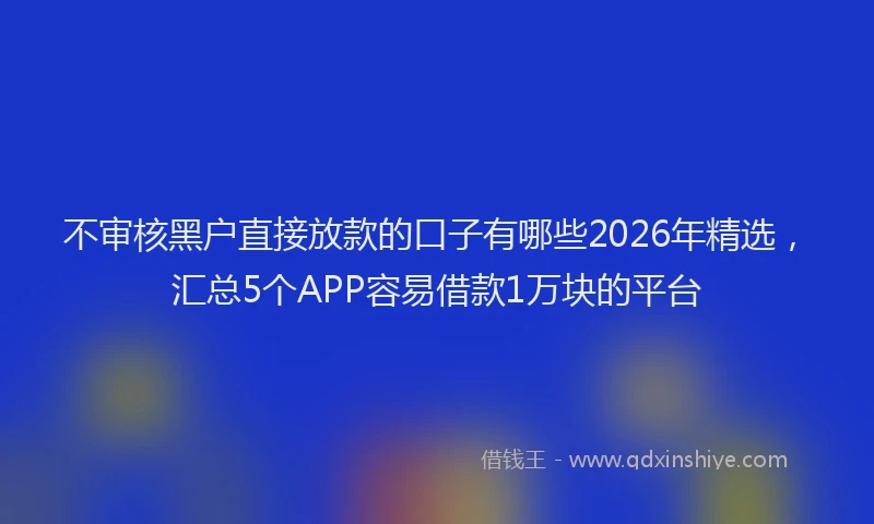不审核黑户直接放款的口子有哪些2026年精选，汇总5个APP容易借款1万块的平台