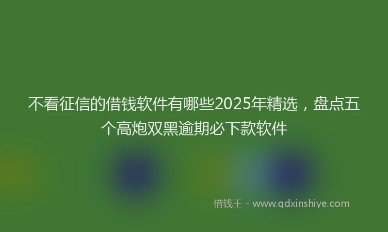 不看征信的借钱软件有哪些2025年精选，盘点五个高炮双黑逾期必下款软件
