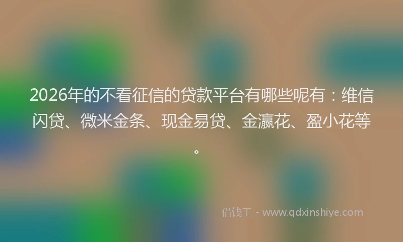 2026年的不看征信的贷款平台有哪些呢有:维信闪贷、微米金条、现金易贷、金瀛花、盈小花等。