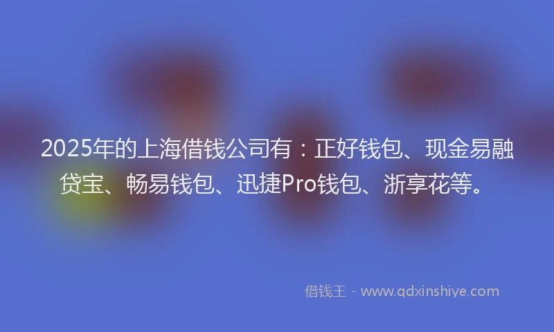 2025年的上海借钱公司有：正好钱包、现金易融贷宝、畅易钱包、迅捷Pro钱包、浙享花等。
