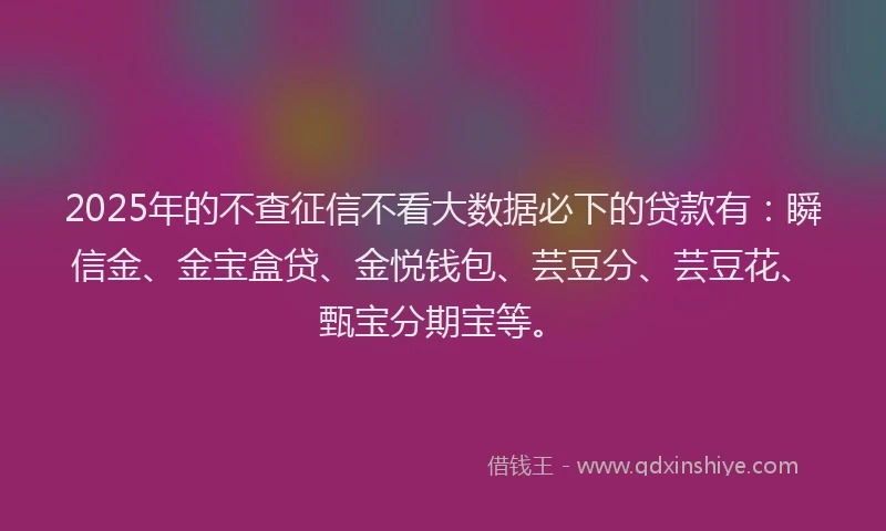 2025年的不查征信不看大数据必下的贷款有：瞬信金、金宝盒贷、金悦钱包、芸豆分、芸豆花、甄宝分期宝等。