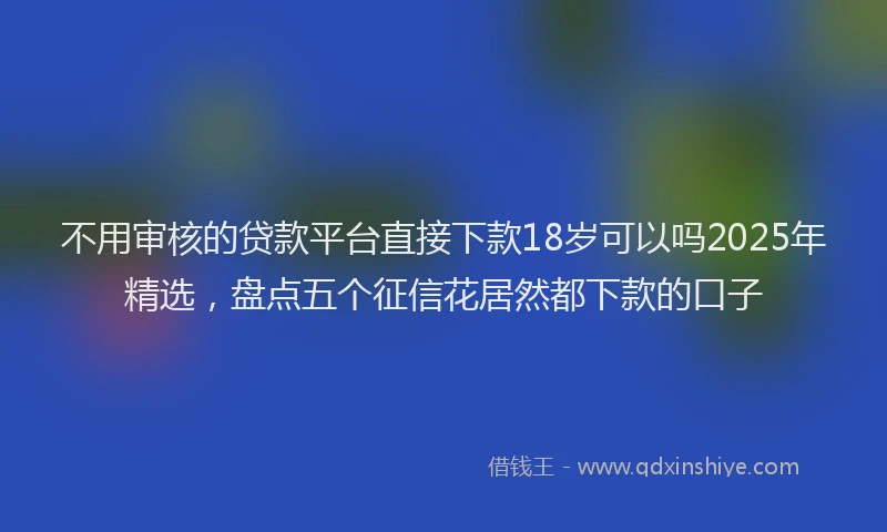 不用审核的贷款平台直接下款18岁可以吗2025年精选，盘点五个征信花居然都下款的口子