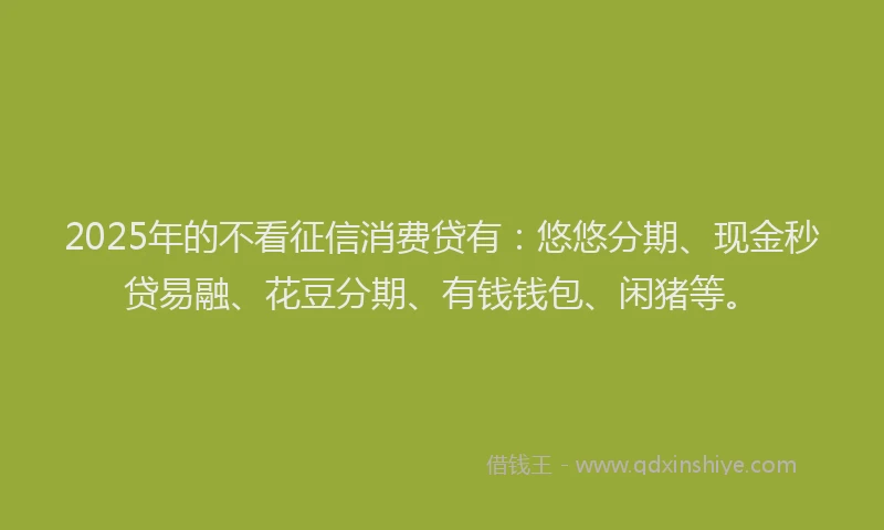 2025年的不看征信消费贷有：悠悠分期、现金秒贷易融、花豆分期、有钱钱包、闲猪等。
