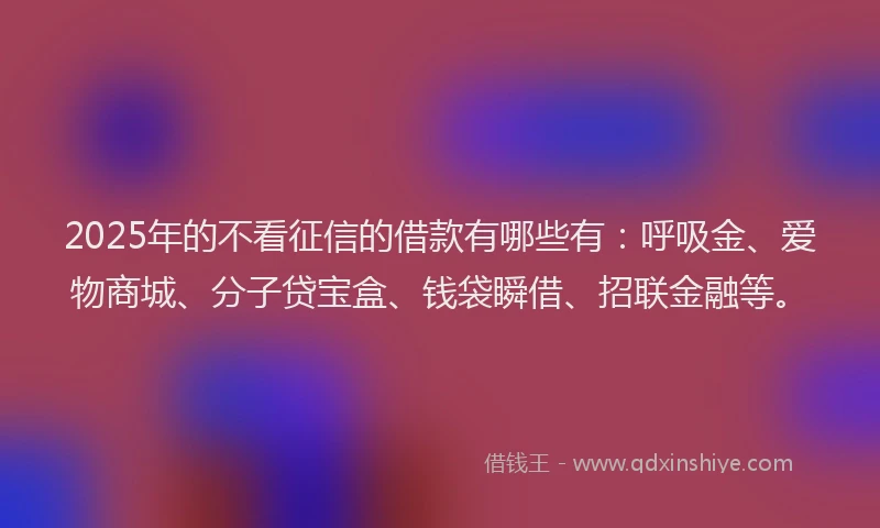 2025年的不看征信的借款有哪些有：呼吸金、爱物商城、分子贷宝盒、钱袋瞬借、招联金融等。