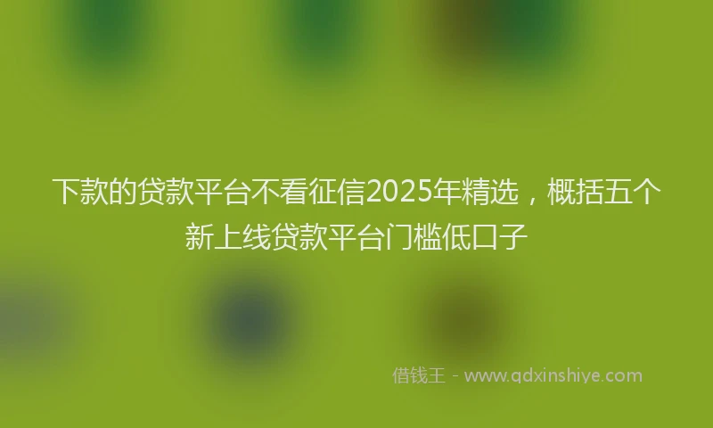 下款的贷款平台不看征信2025年精选，概括五个新上线贷款平台门槛低口子