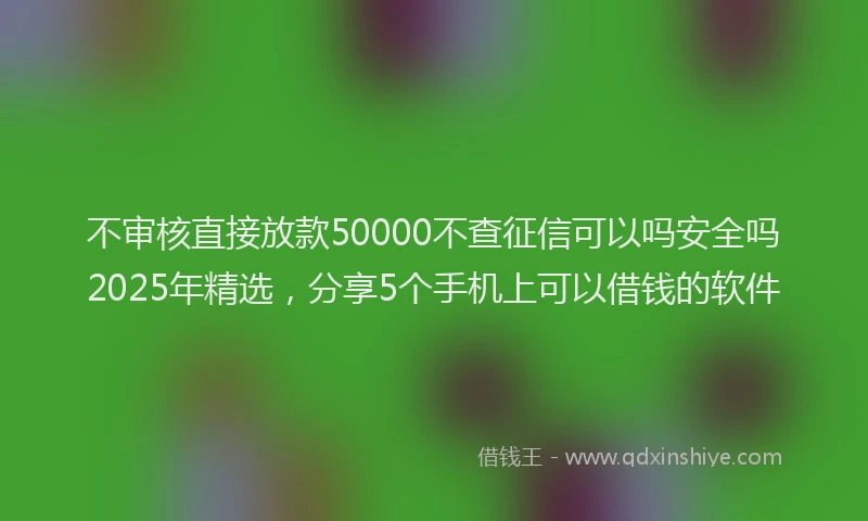 不审核直接放款50000不查征信可以吗安全吗2025年精选,分享5个手机上可以借钱的软件
