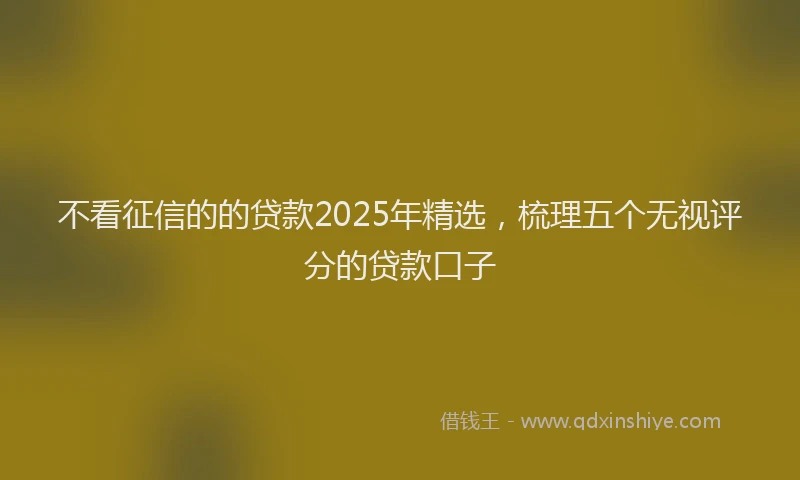 不看征信的的贷款2025年精选，梳理五个无视评分的贷款口子