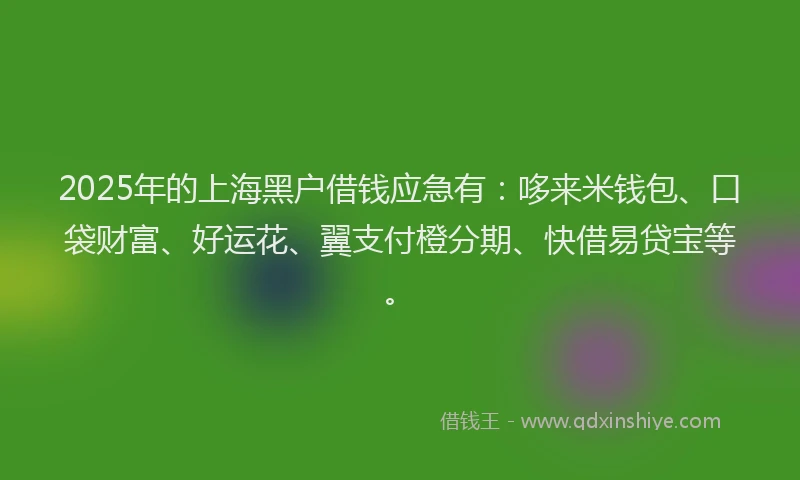 2025年的上海黑户借钱应急有：哆来米钱包、口袋财富、好运花、翼支付橙分期、快借易贷宝等。