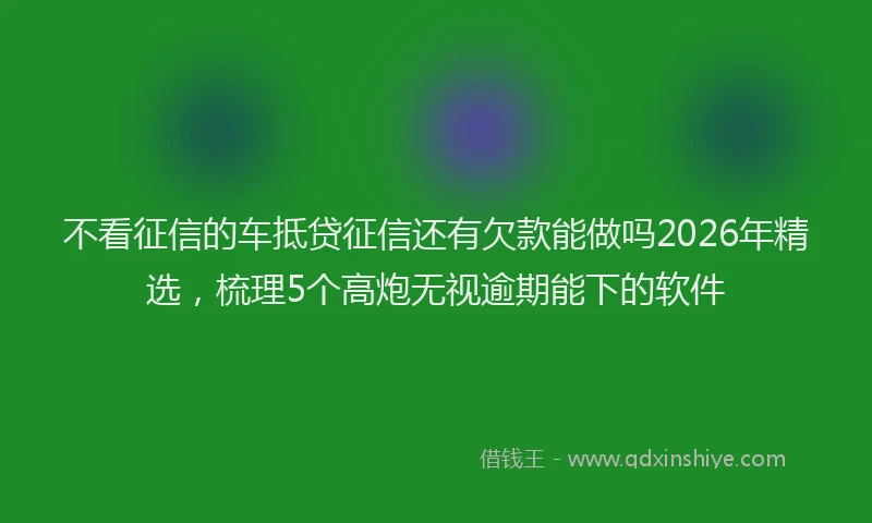 不看征信的车抵贷征信还有欠款能做吗2026年精选，梳理5个高炮无视逾期能下的软件