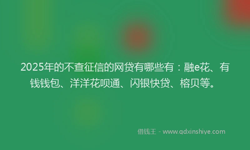 2025年的不查征信的网贷有哪些有：融e花、有钱钱包、洋洋花呗通、闪银快贷、榕贝等。