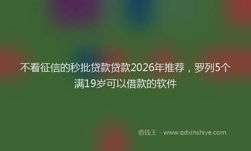 不看征信的秒批贷款贷款2026年推荐，罗列5个满19岁可以借款的软件