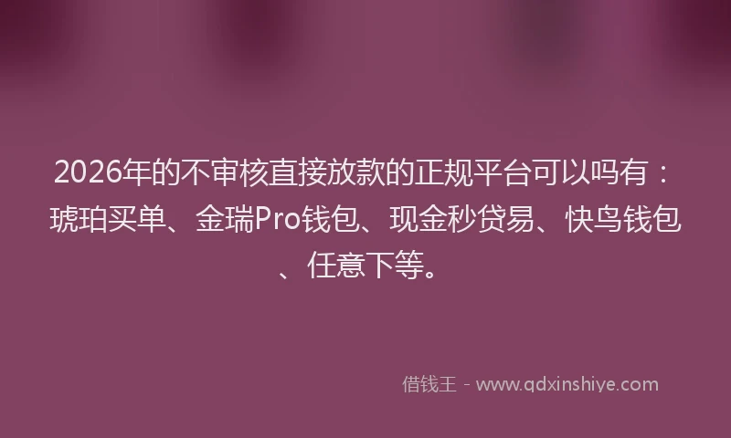 2026年的不审核直接放款的正规平台可以吗有:琥珀买单、金瑞Pro钱包、现金秒贷易、快鸟钱包、任意下等。