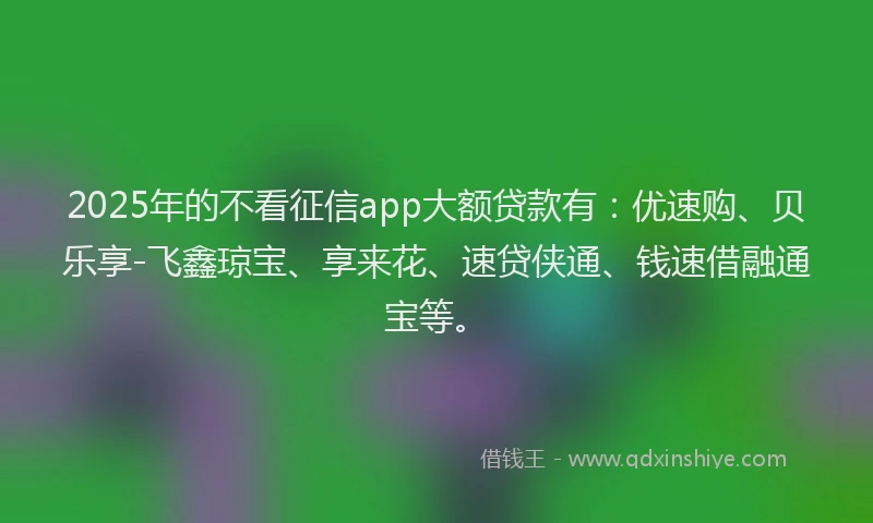 2025年的不看征信app大额贷款有：优速购、贝乐享-飞鑫琼宝、享来花、速贷侠通、钱速借融通宝等。