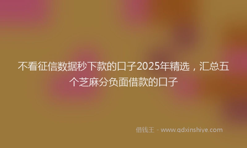 不看征信数据秒下款的口子2025年精选，汇总五个芝麻分负面借款的口子