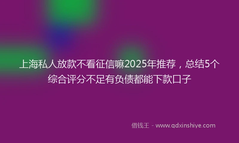 上海私人放款不看征信嘛2025年推荐，总结5个综合评分不足有负债都能下款口子