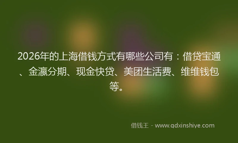 2026年的上海借钱方式有哪些公司有：借贷宝通、金瀛分期、现金快贷、美团生活费、维维钱包等。