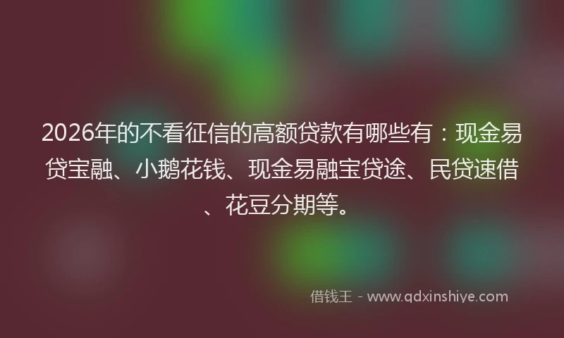 2026年的不看征信的高额贷款有哪些有:现金易贷宝融、小鹅花钱、现金易融宝贷途、民贷速借、花豆分期等。