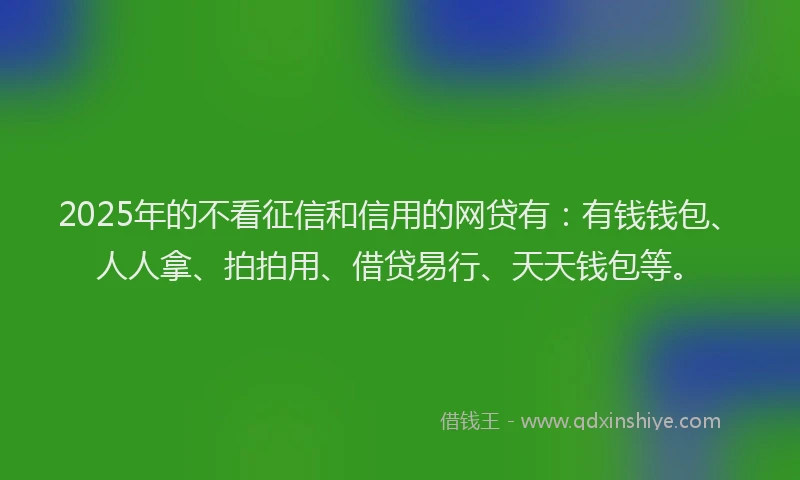 2025年的不看征信和信用的网贷有：有钱钱包、人人拿、拍拍用、借贷易行、天天钱包等。