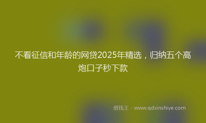 不看征信和年龄的网贷2025年精选，归纳五个高炮口子秒下款
