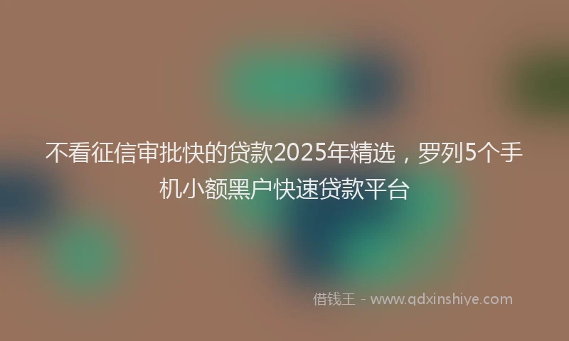 不看征信审批快的贷款2025年精选，罗列5个手机小额黑户快速贷款平台