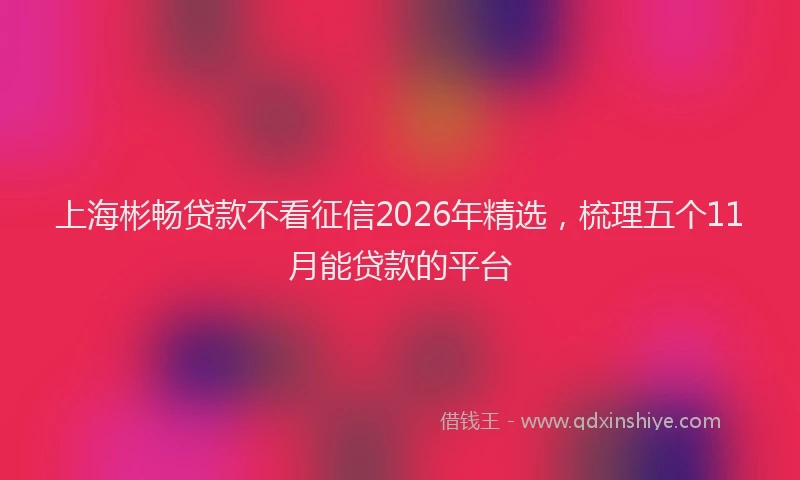 上海彬畅贷款不看征信2026年精选，梳理五个11月能贷款的平台
