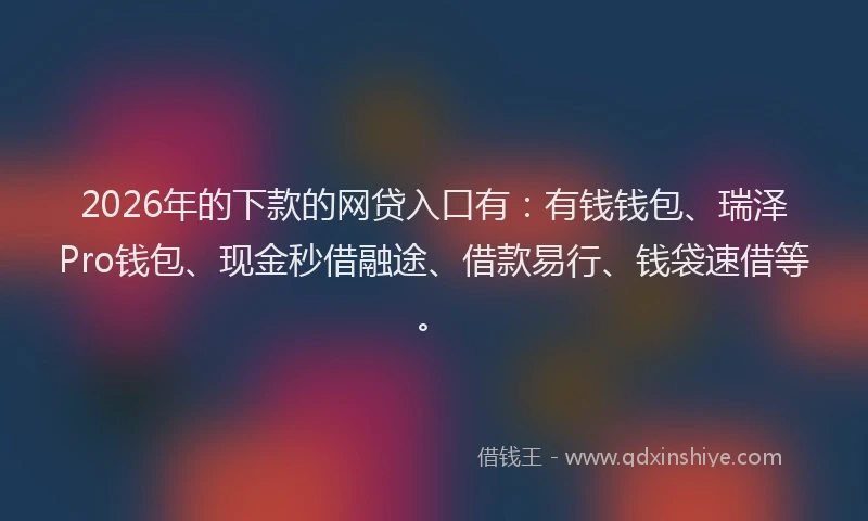 2026年的下款的网贷入口有：有钱钱包、瑞泽Pro钱包、现金秒借融途、借款易行、钱袋速借等。