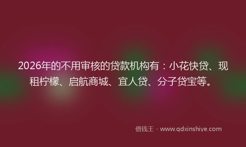 2026年的不用审核的贷款机构有：小花快贷、现租柠檬、启航商城、宜人贷、分子贷宝等。