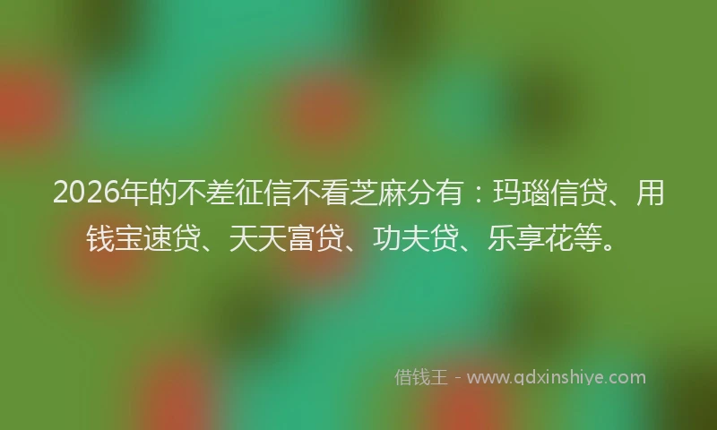 2026年的不差征信不看芝麻分有：玛瑙信贷、用钱宝速贷、天天富贷、功夫贷、乐享花等。