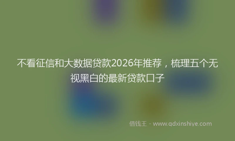 不看征信和大数据贷款2026年推荐，梳理五个无视黑白的最新贷款口子
