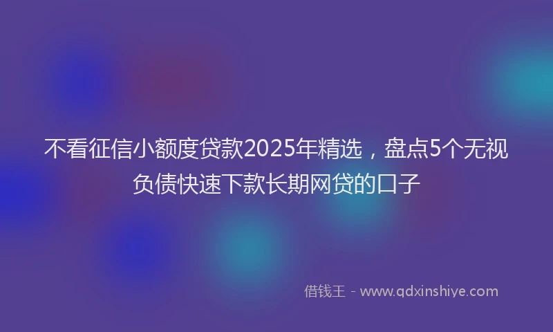 不看征信小额度贷款2025年精选,盘点5个无视负债快速下款长期网贷的口子