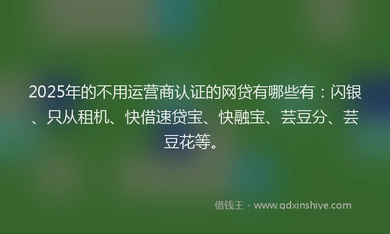 2025年的不用运营商认证的网贷有哪些有：闪银、只从租机、快借速贷宝、快融宝、芸豆分、芸豆花等。