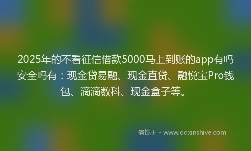 2025年的不看征信借款5000马上到账的app有吗安全吗有：现金贷易融、现金直贷、融悦宝Pro钱包、滴滴数科、现金盒子等。