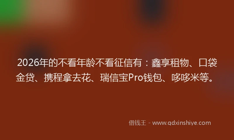 2026年的不看年龄不看征信有：鑫享租物、口袋金贷、携程拿去花、瑞信宝Pro钱包、哆哆米等。