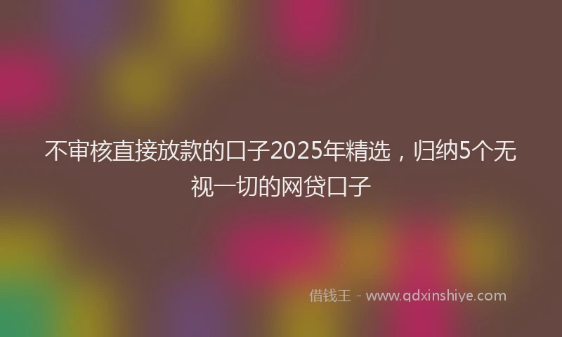 不审核直接放款的口子2025年精选，归纳5个无视一切的网贷口子