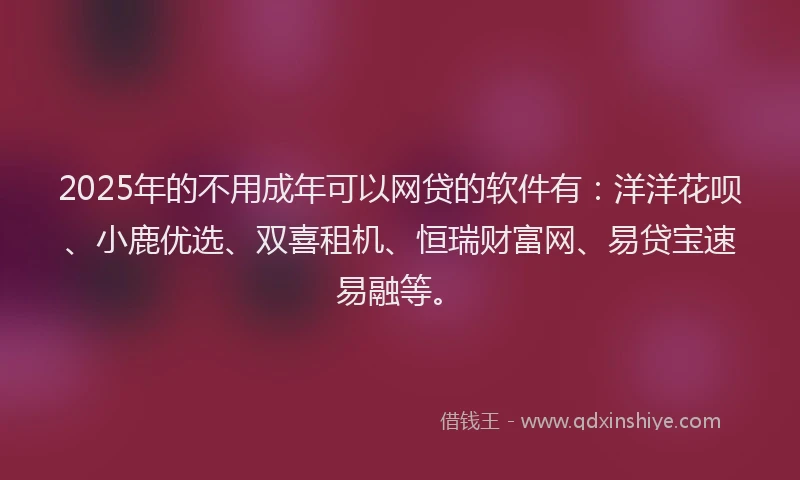 2025年的不用成年可以网贷的软件有：洋洋花呗、小鹿优选、双喜租机、恒瑞财富网、易贷宝速易融等。