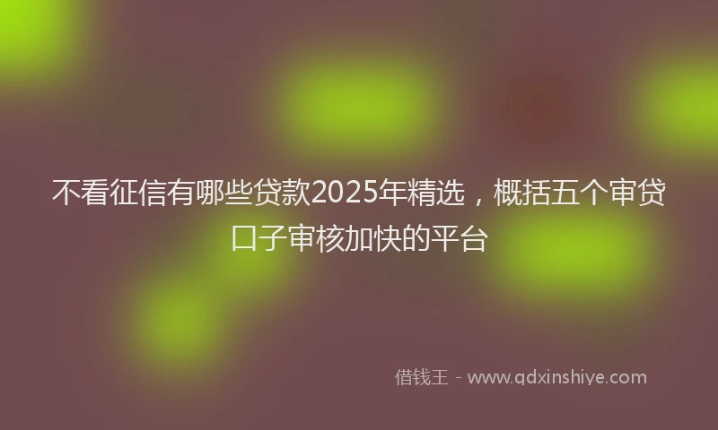 不看征信有哪些贷款2025年精选,概括五个审贷口子审核加快的平台