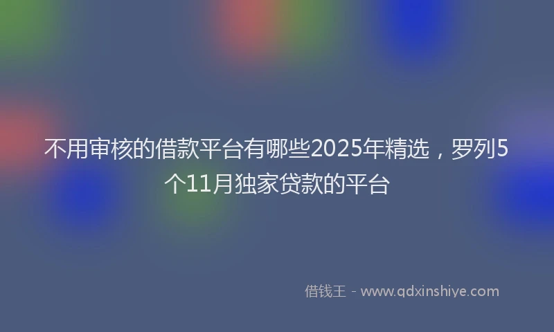 不用审核的借款平台有哪些2025年精选，罗列5个11月独家贷款的平台