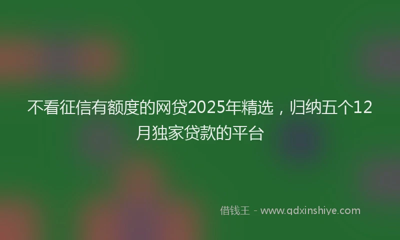 不看征信有额度的网贷2025年精选，归纳五个12月独家贷款的平台