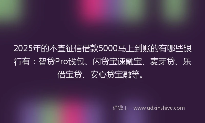 2025年的不查征信借款5000马上到账的有哪些银行有：智贷Pro钱包、闪贷宝速融宝、麦芽贷、乐借宝贷、安心贷宝融等。