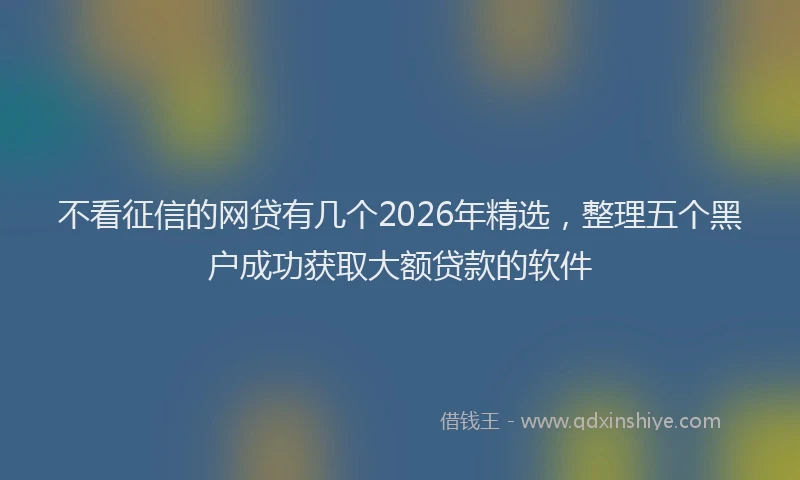 不看征信的网贷有几个2026年精选，整理五个黑户成功获取大额贷款的软件
